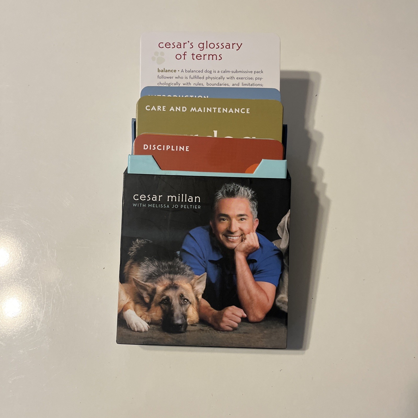 Cesar's Way Deck: 50 Tips for Training and Understanding  by Cesar Millan, Cards