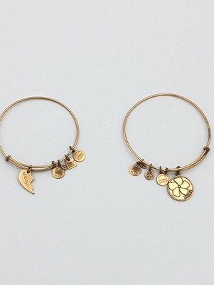 Alex And Ani Best And Friends Bracelets, Hearts, BFF