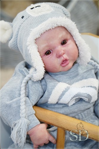 Studio-Doll Baby BOY toddler Erin by Ann Timermann 26 inch - 第 11/24 張圖片