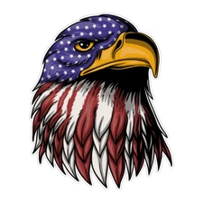 Eagle Head America Flag Fur Bumper Sticker Military Vinyl Soldier Decal 5"