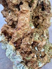 10 Lbs Cured Fiji Live Rock Aquarium Reef Fish Tank Marine Great Rocks for Reef