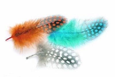 Veniard Guinea Fowl Plumage Hackles 2g (GFPM)