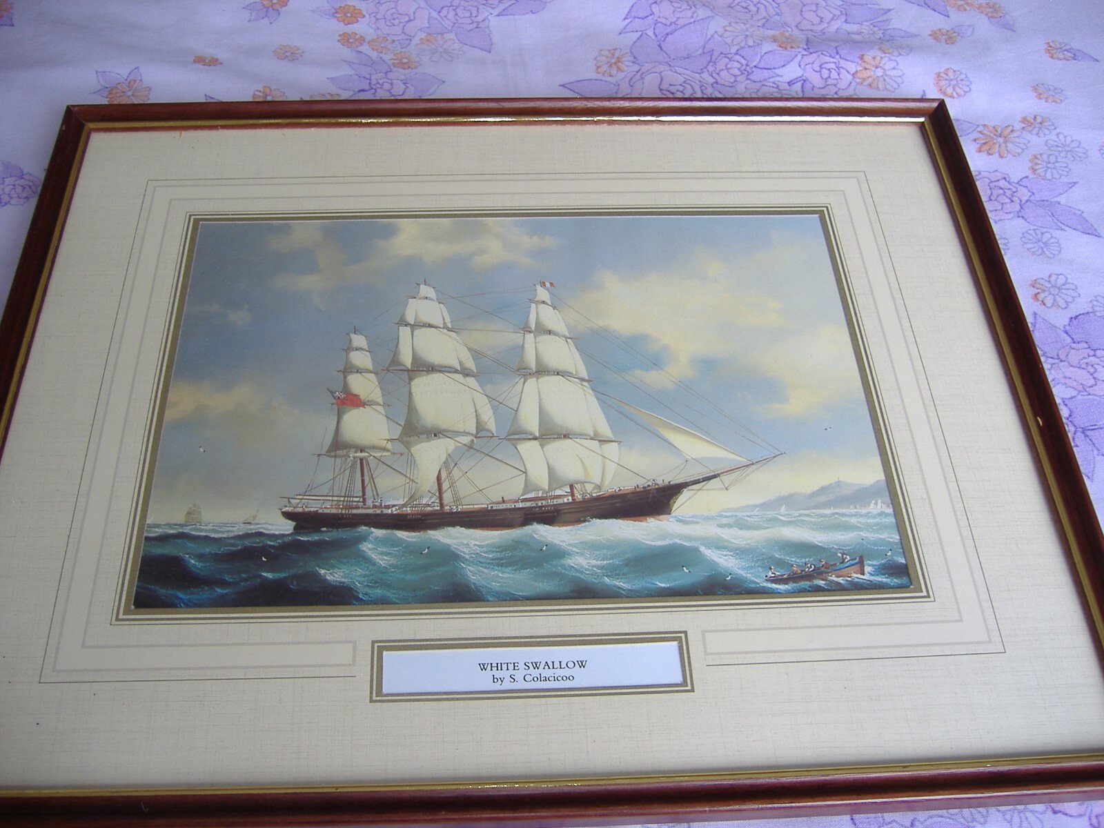 A Framed Print - Clipper White Swallow - S.Colacicoo - Picture 1 of 2