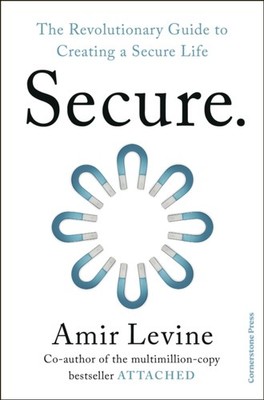 SECURE by LEVINE, AMIR Hardback Self Help Business
