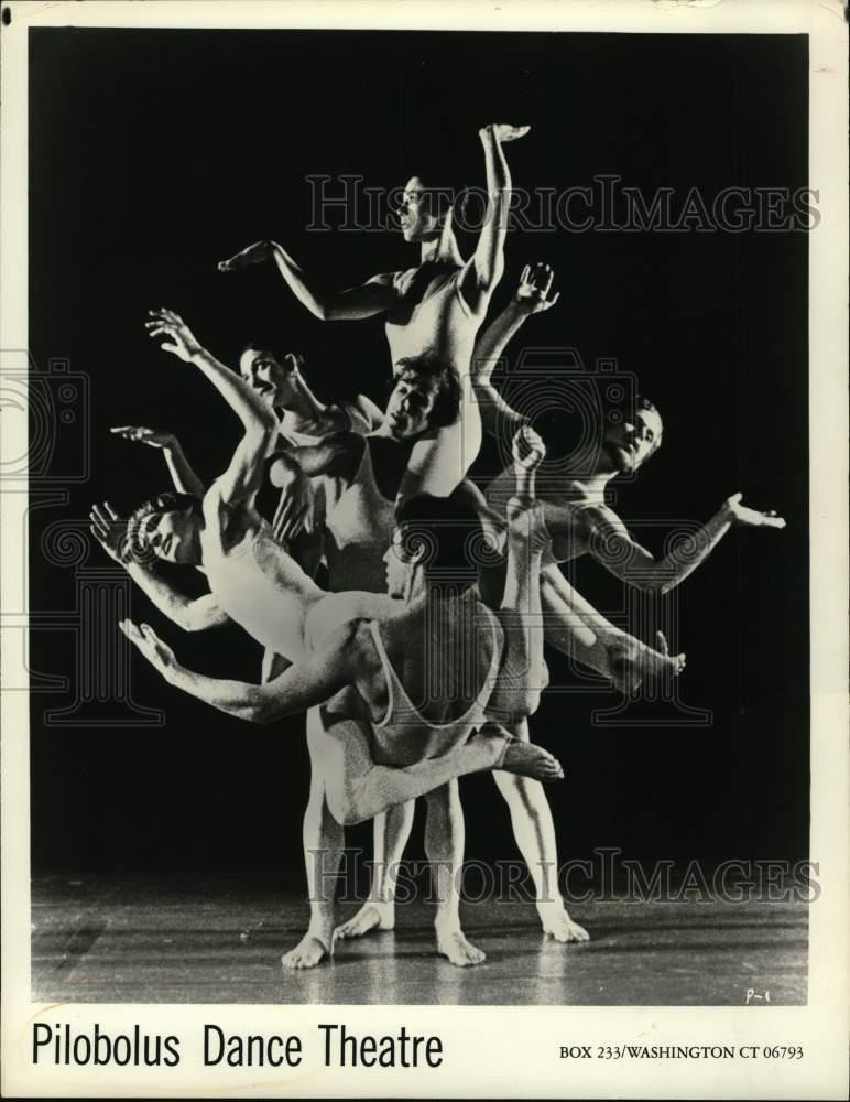 1980 Press Photo Performers of the Pilobolus Dance Theatre on stage - lrp40513