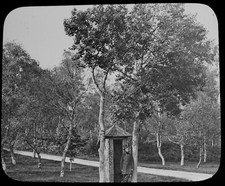 IN THE AVENUE BALMORAL CASTLE C1890 PHOTOGRAPH Magic Lantern Slide SCOTLAND