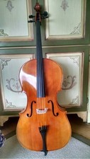 Meucci Handcrafted European Cello