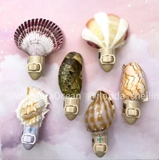 WHOLESALE 6 pcs Seashell Night Light Variety