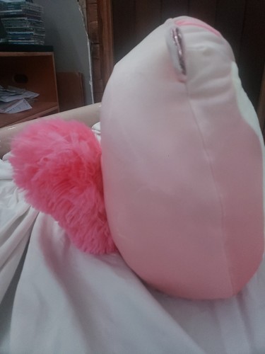 NEW Lane Squishmallows 12" Valentine's Squirrel Plush Stuffed Animal Toy 2023 - 第 2/4 張圖片