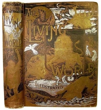 1890 WILDLIFE ANIMALS NATURAL HISTORY ZOOLOGY SCIENCE BIRDS REPTILES FISH