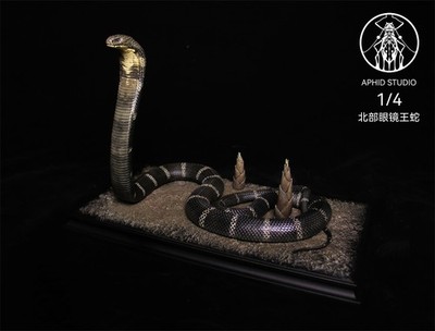 Aphid Studio 1/4 Scale Northern King Cobra Wild Animal Snake Model GK Statue