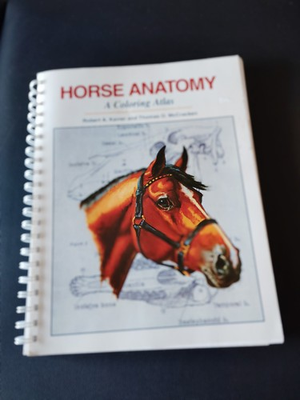 #ad #ad Horse Anatomy : A Coloring Atlas by Robert A. Kainer and Thomas O. McCracken... $11.00