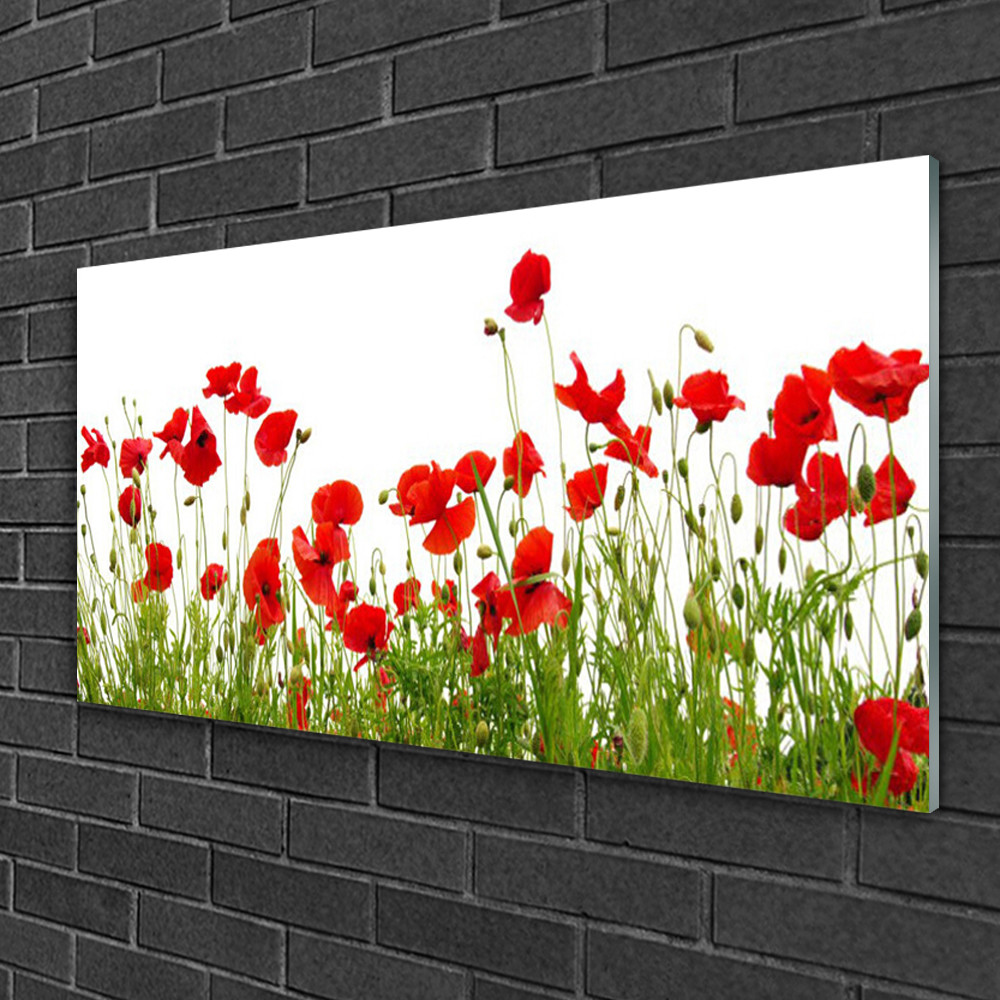 Tableau sur verre impression panorama 100x50 cm déco murale fleurs de coquelicots