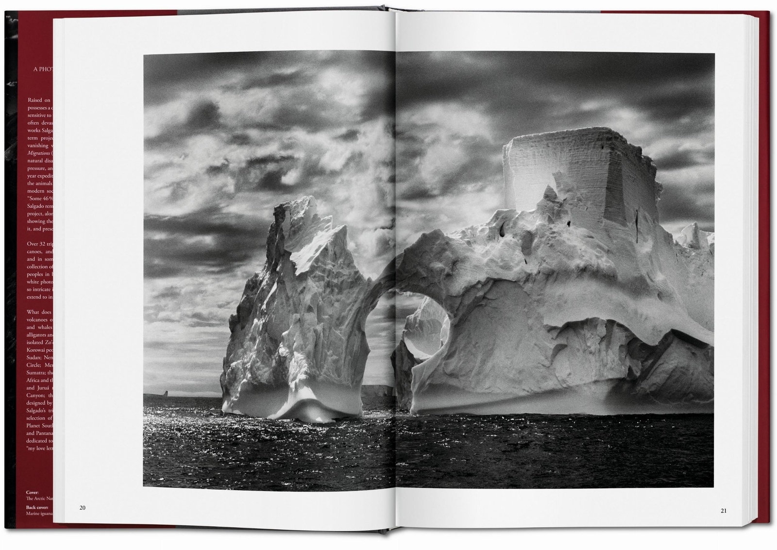Thumbnail - Sebastiao Salgado. Genesis | Lélia Wanick Salgado | Trade Edition |