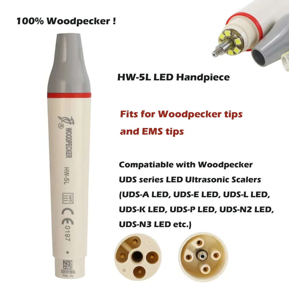 Woodpecker Dental Ultrasonic Scaler Handpiece HW-5L Tips Scaling Endo Perio EMS - Image 3 of 4