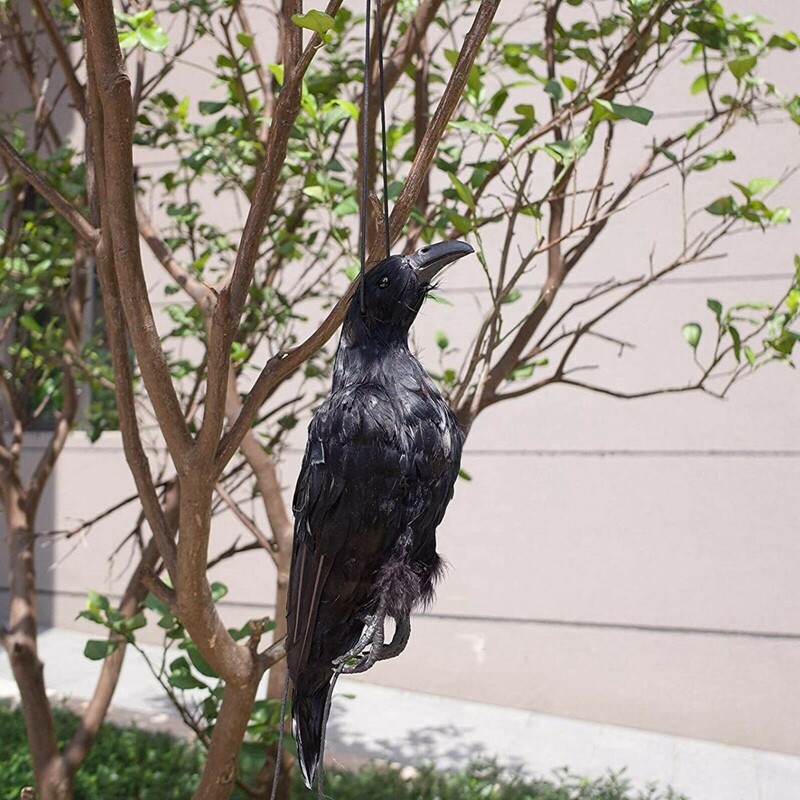 2X(Realistic Hanging Dead Crow Decoy Lifesize Extra Black Feathered