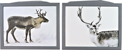 Hoff Interior Lap Tray 45 x 35 cm Padded Foam New - Please Choose!