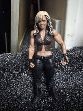 Mattel WWE WWF Kaitlyn Best of 2013 Wrestling Figure