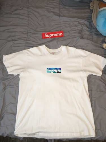 Supreme x Emilio Pucci Box Logo Tee Men's XL White T-… - Gem
