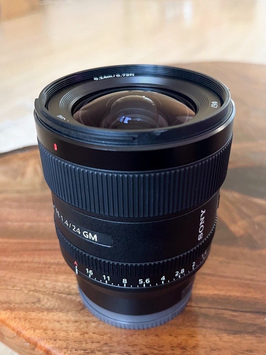 24mm F1.4 GM 【SEL24mmf14GM】 Amazon.com : Sony FE 24mm F1.4 GM (SEL24F14GM) Camera Lens