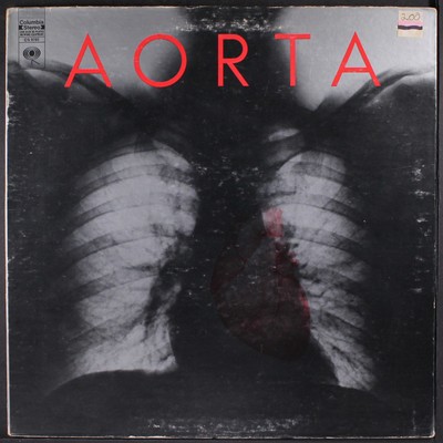 AORTA: aorta COLUMBIA 12