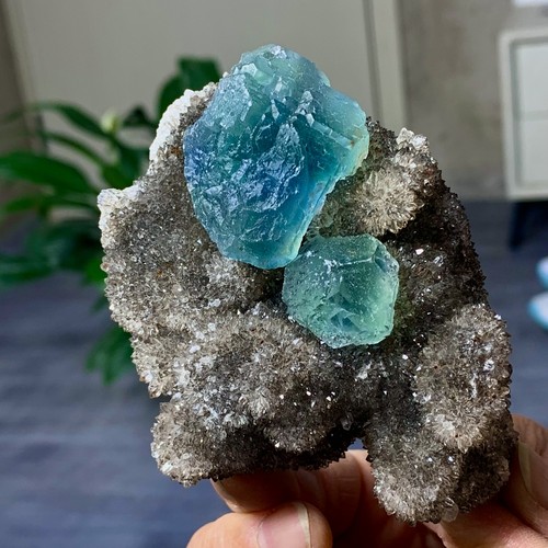 288G Rare Transparent blue-green Cube Fluorite Mineral Crystal Specimen/China - Picture 15 of 24