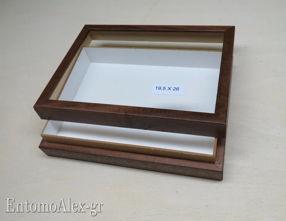 scatola entomologica legno MARRONE 19X26 plastazote entomologia cassetta insetti - Immagine 2 di 4
