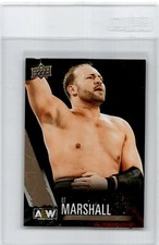 2021 Upper Deck AEW All Elite Wrestling Gold Parallel  QT Marshall