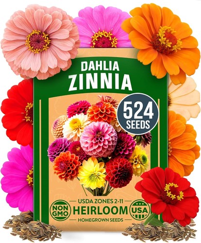 Zinnia Dahlia Seeds 524 Non GMO Zinnia Elegans Flower Garden Pack - Picture 1 of 9