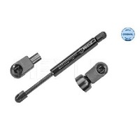 2X Gasfeder Motorhaube Vorne FüR Ford Mondeo B5Y BWY 00 Bis 07 Meyle Cjbb N7BA