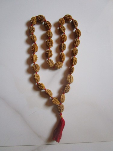Natürliche Rudraksha Kantha Rosenkranz Halskette, 33 Perlen, 2 Gesichter, 30" Länge, Perlen - Bild 3 von 16