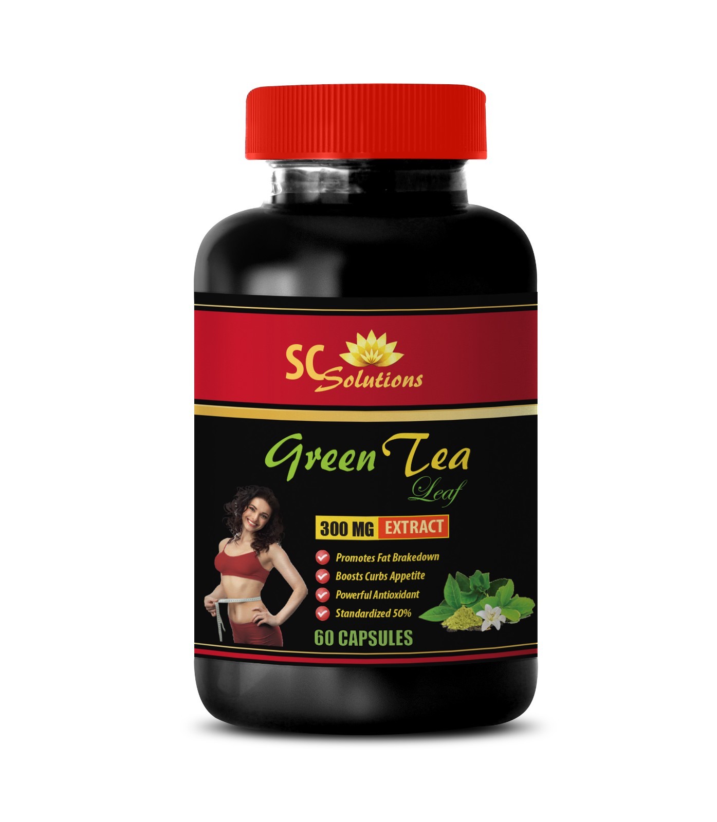Extract - Green Tea Extract Bulk 1b