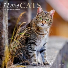 I Love Cats | 2026 12x24" (Hanging) Monthly Square Wall Calendar