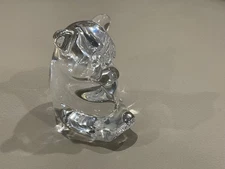 STEUBEN #5548 Taf Label Schaefer PANDA BEAR Figurine, Hand Cooler, 2 1/2" MINT!