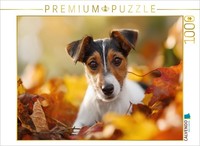 Calvendo Puzzle Laubspaß FüR Kleine Entdecker | 1000 Teile Lege-GrößE 64X48Cm Fo