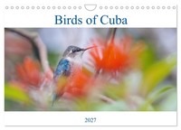 Birds Of Cuba Island (Wall Calendar 2027 DIN A4 Landscape), Calvendo 12 Month Wa