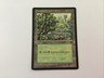 Mtg, Arena League, 1996, Forest, Magic The Gathering
