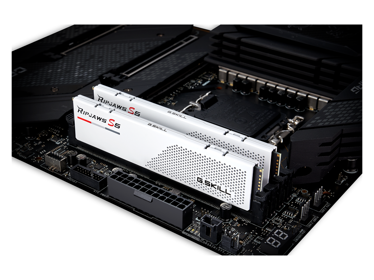 G.SKILL Ripjaws S5 32GB (2 x 16GB) PC5-44800 (DDR5-5600) CL36-36