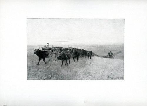 On The Great Cattle Trail, A. Castaigne, 1898 vintage art print