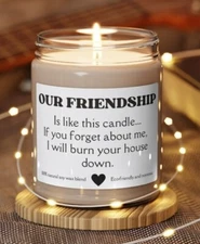 Our Friendship, Funny Candle, Unique Best Friend Gift Scented Soy Candle 9oz
