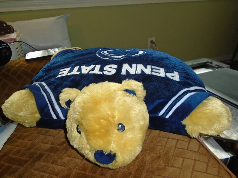 Penn State Football Pillow Pets Snowman Hoodies Caps Stein Glasses HC Book EX NR