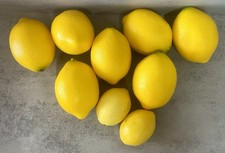 Lot of 9 Artificial Lemons Realistic Fake Fruit Kitchen Decor Bowl Filler