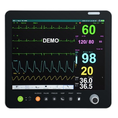 Portable 15 Inch Screen Sign Monitor ECG NIBP RESP TEMP SPO2 PR