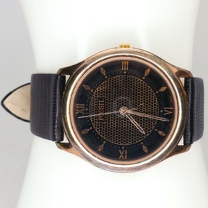 fossil world watch