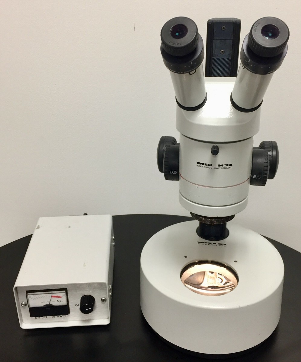 Heerbrugg WILD M3Z Stereo Zoom Microscope w/ Light Source | eBay