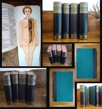 Der Neue Brockhaus - Allbuch in vier Bänden ...