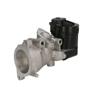 AGR Ventil Delphi EG10591-12B1