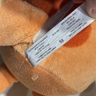 Foto 10 di 14