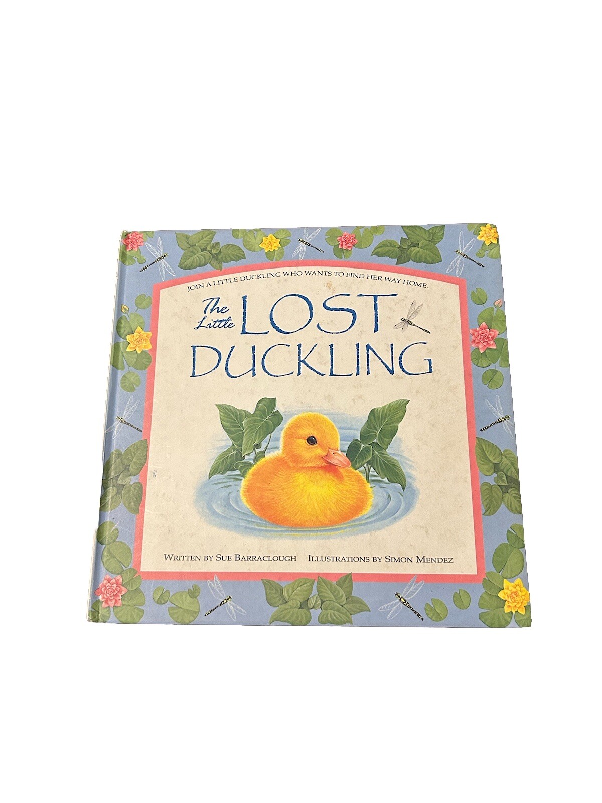 The Little Lost Duckling by Sue Barraclough Children’s Book 2002 Vintage