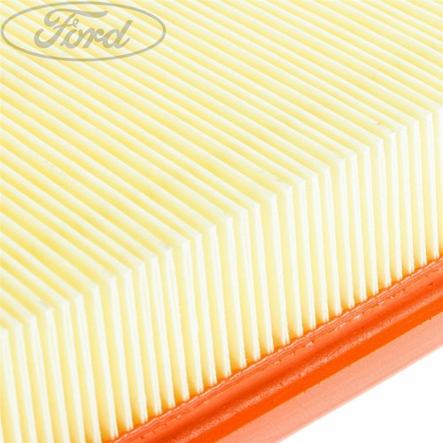 Genuine Ford Transit Mk7 Air Filter Element 2.2 TDCI 2006 - 2014 1729416 - Picture 7 of 7